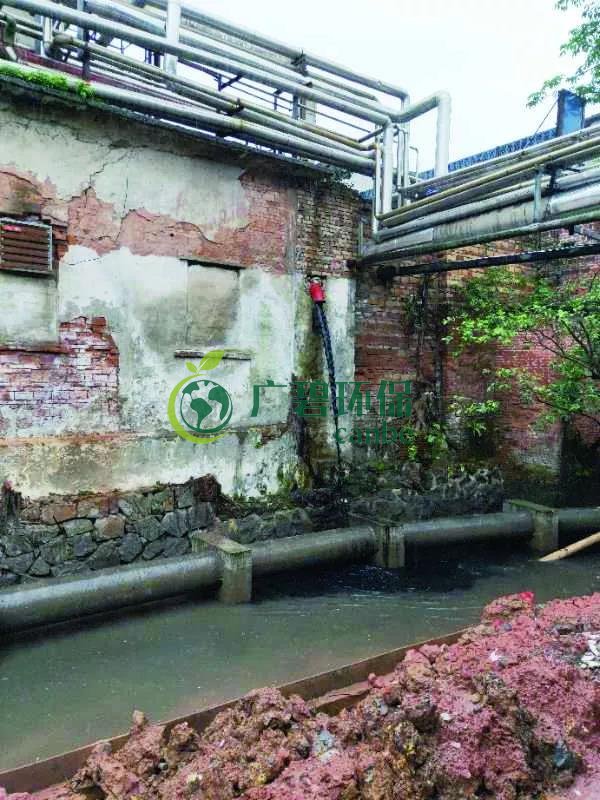 廣州海珠有污水直排河涌，3名涉案人員被行政拘留(圖1)